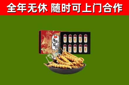 封丘回收冬虫夏草价格